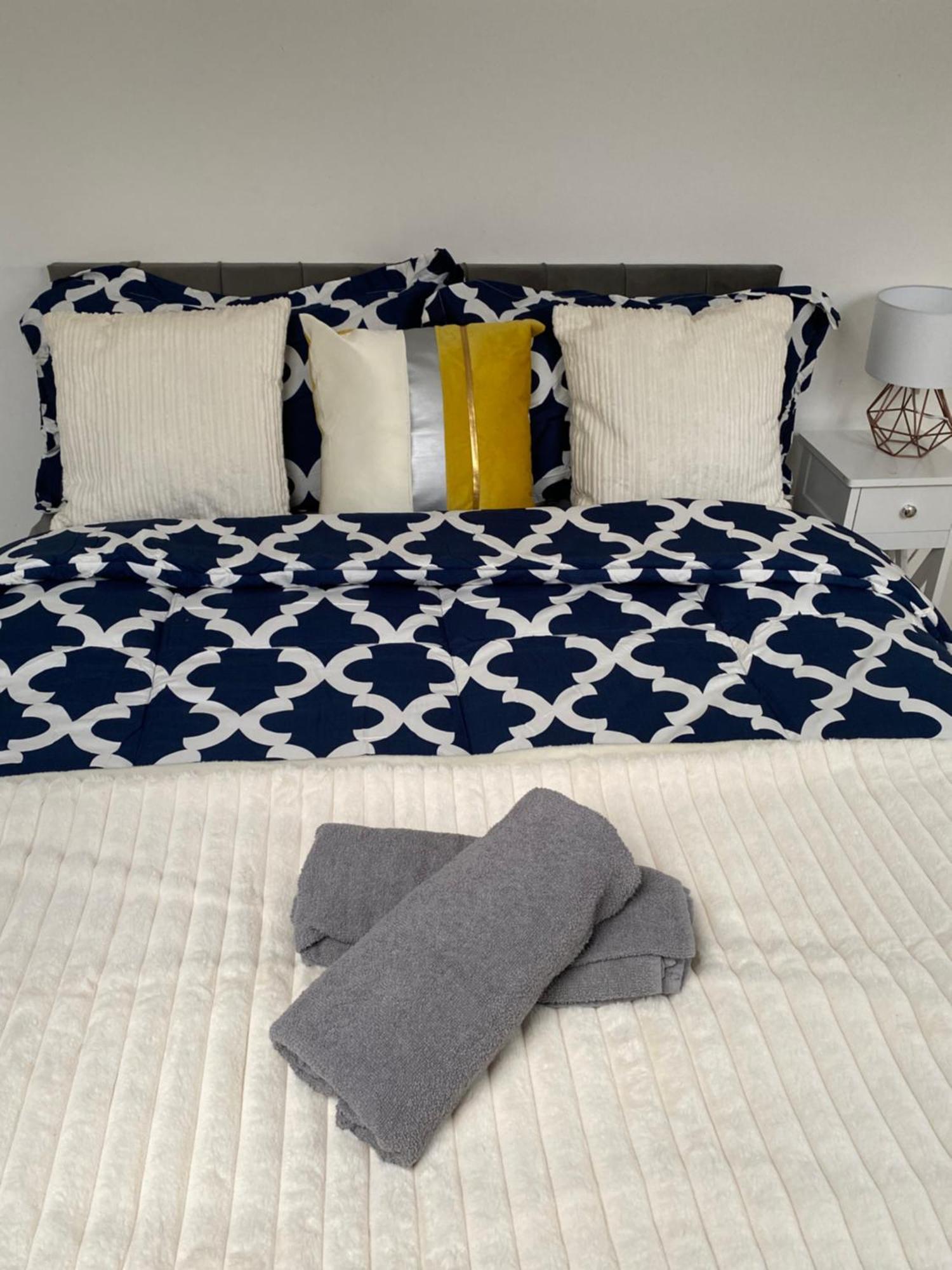 Comfy Loft Wembley Stadium 6 Minutes Away Homestay London